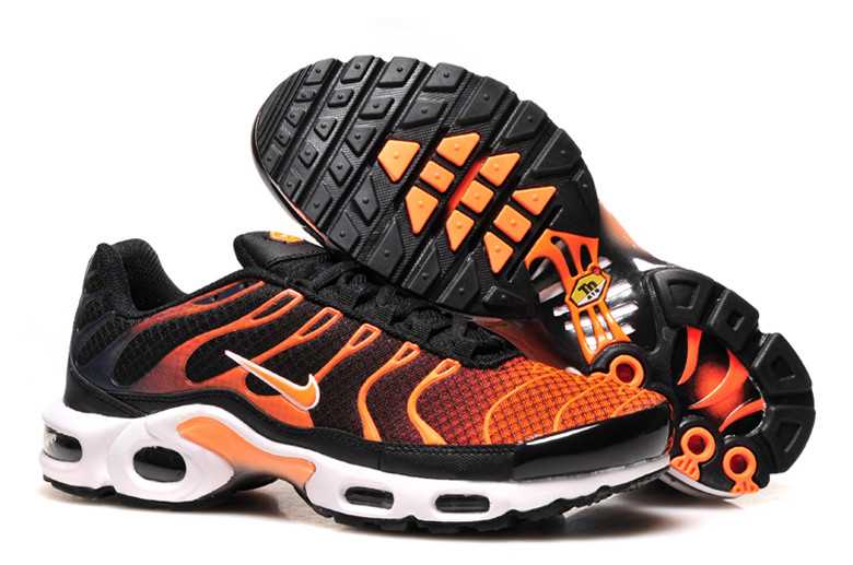 Paire De Tn Sport Pas Cher Nike Air Max Tn Pas Cher